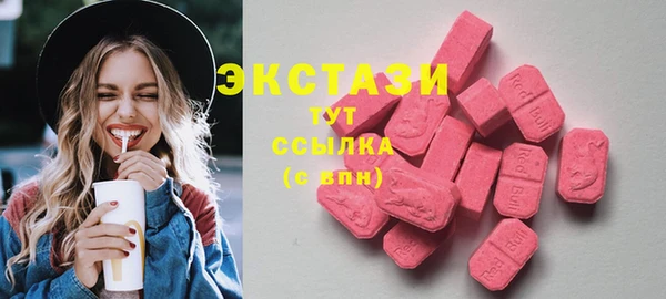 гидра Богородск