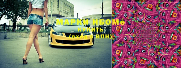 хмурый Арсеньев