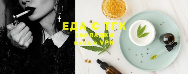 хмурый Арсеньев