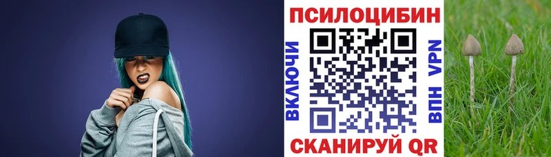 Псилоцибиновые грибы мицелий Серов